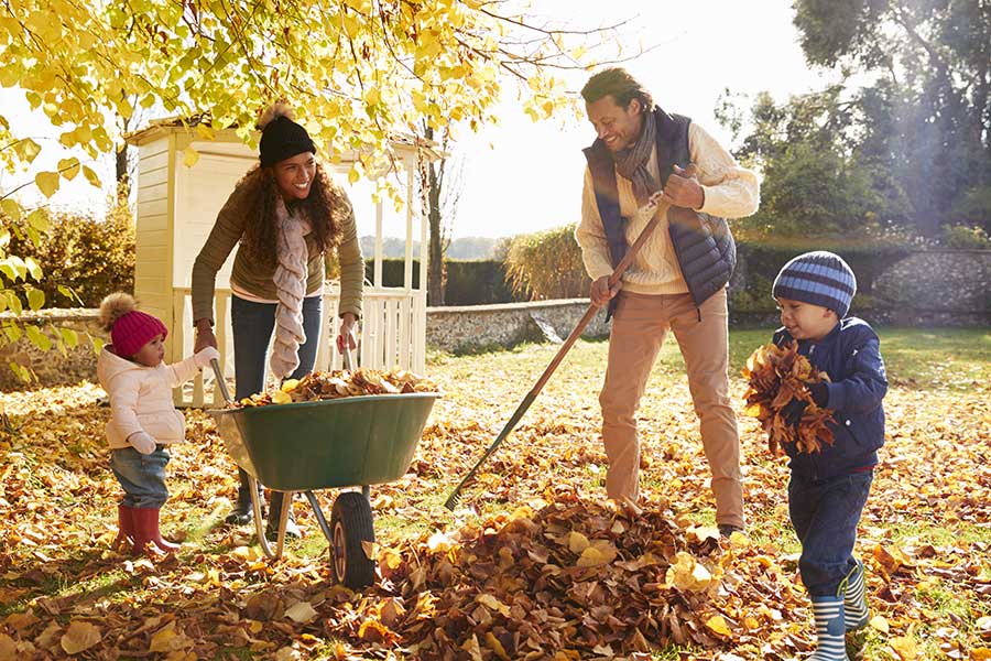 Autumn gardening jobs